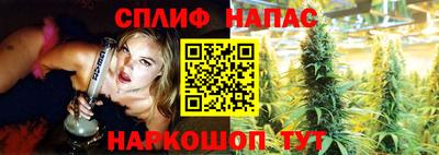стафф Заволжье
