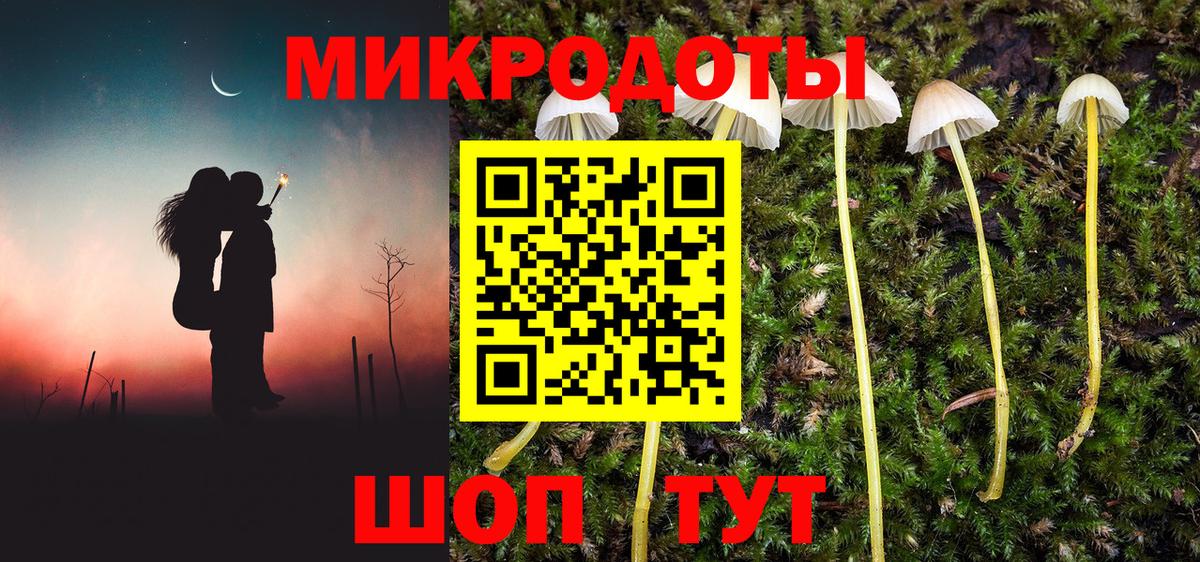 Псилоцибиновые грибы GOLDEN TEACHER Новотроицк