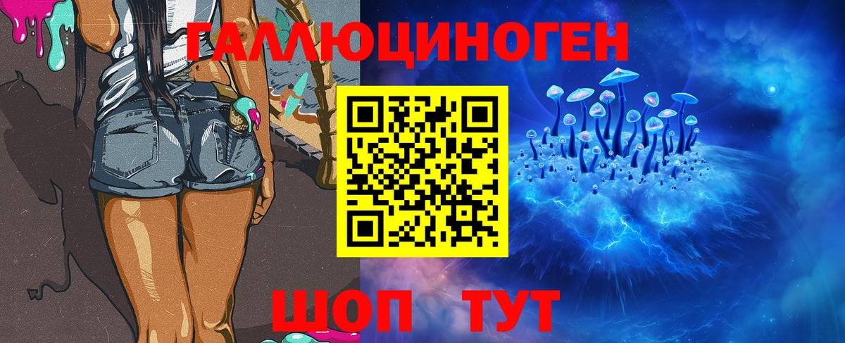 Псилоцибиновые грибы Psilocybine cubensis  закладки  Новотроицк  Вход с VPN 